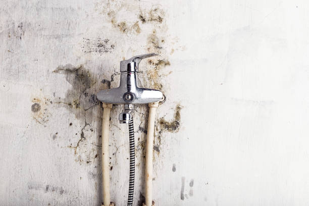 Best Mold Testing  in Lauderdale Lakes, WI