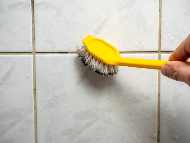 Best Local Mold Removal Service  in Lauderdale Lakes, WI