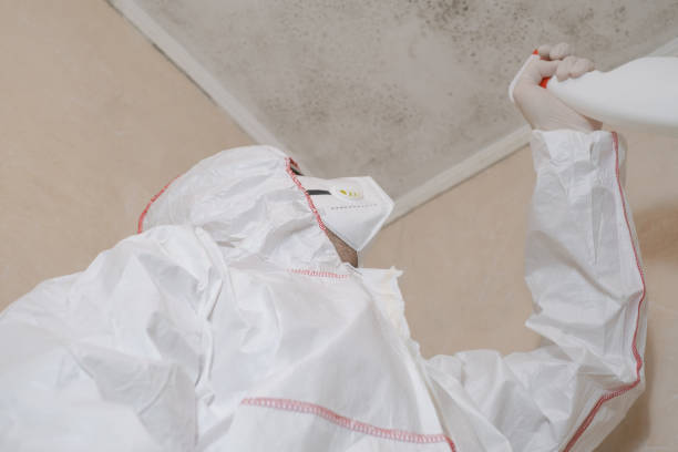 Crawl Space Mold Removal in Lauderdale Lakes, WI