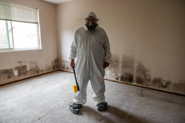Best Toxic Mold Removal  in Lauderdale Lakes, WI